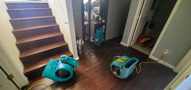 Best Fire Damage Restoration  in Pine Lakes, FL