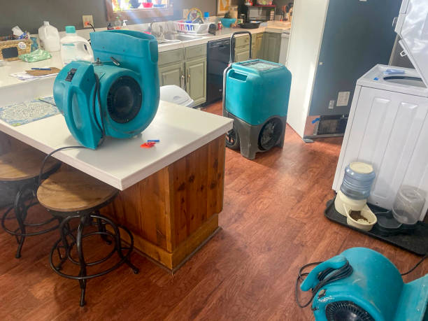 Best Water damage restoration near me  in Pine Lakes, FL