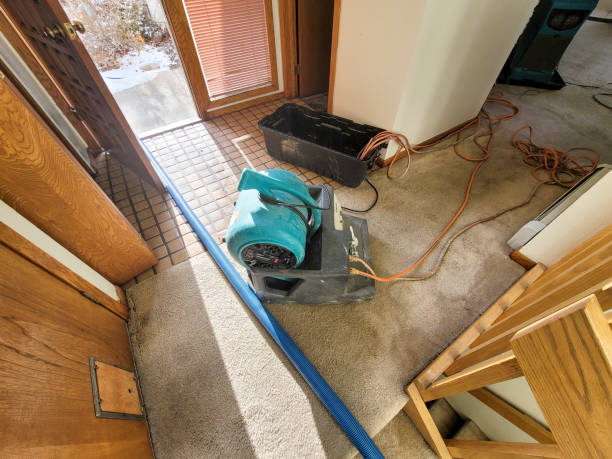 Best Water damage restoration near me  in Pine Lakes, FL