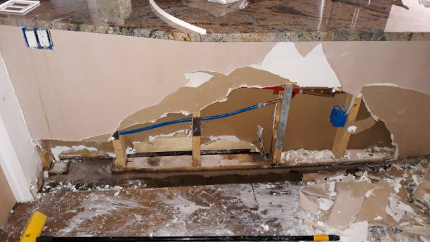 Best Sewage cleanup and water damage restoration  in Pine Lakes, FL