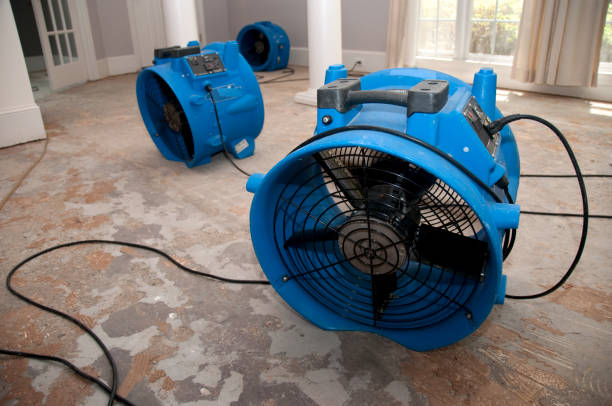 Best Water damage restoration services  in Pine Lakes, FL