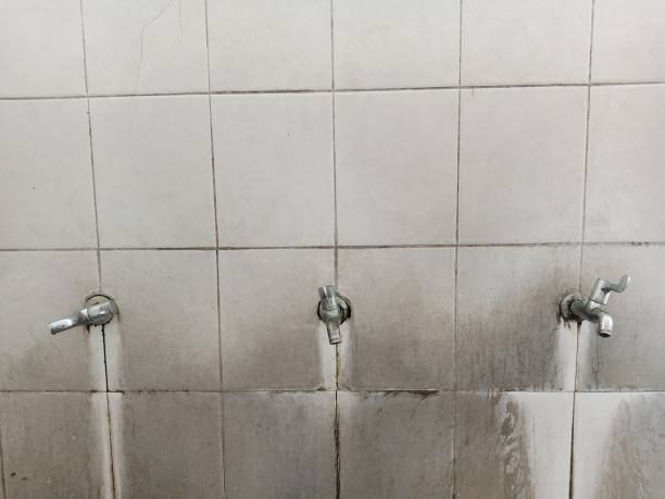 Best Emergency water extraction  in Pine Lakes, FL