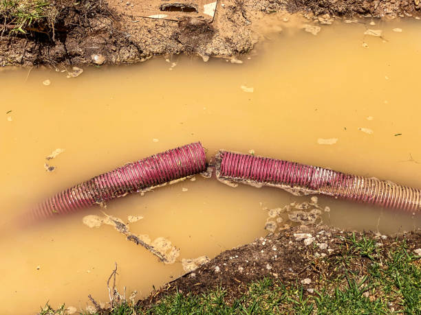 Best 24/7 water damage repair  in Pine Lakes, FL