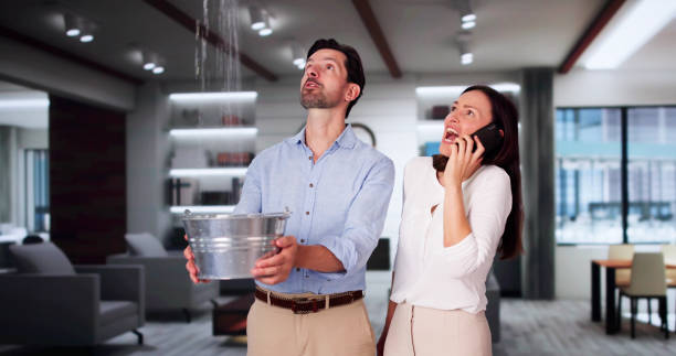 Best Ceiling water damage repair  in Pine Lakes, FL
